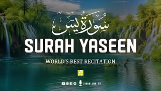 Surah Yasin (Yaseen) | Best Quran Recitation in the World | 36سورۃ یس | Zikrullah TV