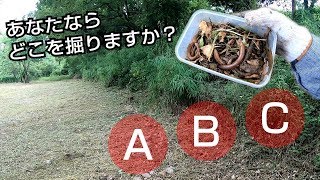 3分で分かる！ドバミミズ採取のコツ