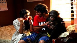 Gorilla (2018) Tamil Trailer | #Jeeva # Shalini Pandey | கொரில்லா டீஸர் | #tamil cinema | #gorilla