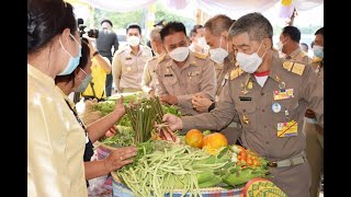 องคมนตรี ลงพื้นที่ติดตามและขับเคลื่อนโครงการอันเนื่องมาจากพระราชดำริในพื้นที่ภาคตะวันออกเฉียงเหนือ