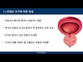 한국인 남성 정상 전립선 크기와 치료방법