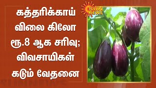 கத்தரிக்காய் விலை கிலோ ரூ.8 ஆக சரிவு; விவசாயிகள் கடும் வேதனை | Brinjal prices fall to Rs 8 per kg