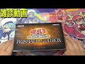 【遊戯王】prismatic god box 購入奮闘記【雑談動画】