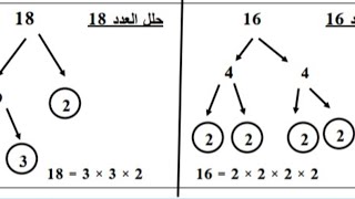 تحليل العدد الى عوامله الأولية|الدرس الثاني |رياضيات الصف السادس