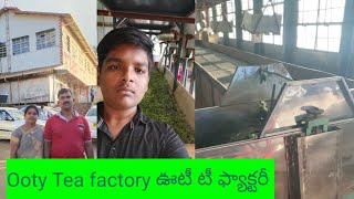 ఊటీలో ☕🍵 టీ 🏭 ఫ్యాక్టరీ లో టీ ఆకు ఎన్ని క్వాలిటీగా తీస్తారో చూసేయండి#Ooty tea factory..