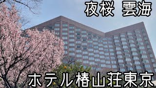 【椿山荘東京】桜ライトアップ/夜桜雲海/ガーデンビュー/庭園/朝食/お花見