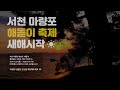 ⏰33세컨즈ㅣ전북 근교 해돋이 서천 마량포 해넘이 해돋이