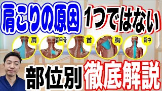 【２０２２年決定版】部位別肩こりの治し方～首こり・肩こり・背中のこり・コリごとの解消ポイントを徹底解説！！