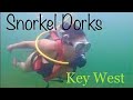 Snorkel Dorks in Key West #freediving