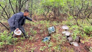 小伙去山上捡菌子，捡到鸡枞菌，后面又无意间，捡到钱高兴坏了