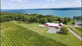 Lake view Winery for sale $950K 出售湖景酒庄15英亩，交钥匙农业旅游企业包括一个酒庄综合体，集种植，生产，销售为一体，有葡萄酒生产、桶储存、装瓶、品酒室、零售等区域！