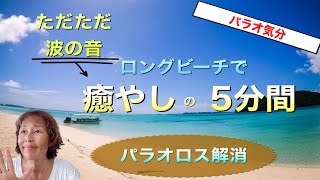 【パラオの絶景】海外旅行ロス解消 4K