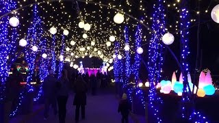 CHRISTMAS LIGHTS AT THE PHIPPS CONSERVATORY IN PITTSBURGH PA