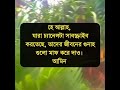 অসাধারণ কুরআনের তেলাওয়াত কুরআন শিখুন কুরআন পড়ুন