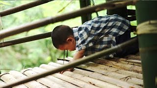 【老爸辰長記】 奶爸育儿记，农村2岁娃村头遇大母猪躺路边，接着就不淡定了