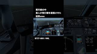 悪天候の中 素人が飛行機を着陸させた結果www