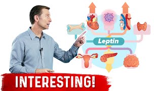 Leptin is an Immune Hormone