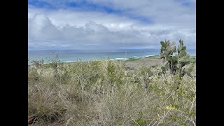 Highlights from Beautiful Isabela Island in the Galapagos Archipelago