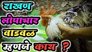 राखण / लोपाचार / वाडवळ म्हणजे काय ● कोकण व कोकणातील गावरहाटी ● Kokan va kokanatil gavrahati ●