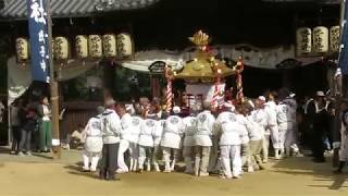 H30年岩岡神社秋祭神輿