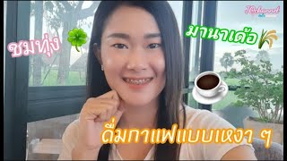 #มานาเด้อ #จ๊ะอิ๋วชาแนล ดื่มกาแฟแบบเหงาๆที่มานาเด้อชมทุ่ง | จ๊ะอิ๋วchannel