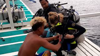 Diving El-Nido Palawan Philippines エルニド　El-Dive