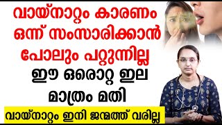 ഈ ഒരൊറ്റ ഇല മാത്രം മതി വായ്നാറ്റം ഇനി ജന്മത്ത് വരില്ല vayinaatam | vayinattammaaran