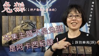 阿卡西紀錄介紹｜如何提問｜解讀與上課趣事