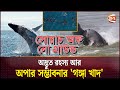 বঙ্গোপসাগরের অতলস্পর্শী এক খাদের গল্প  | Swatch of No Ground | Channel 24