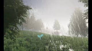 Wetness maps - rain