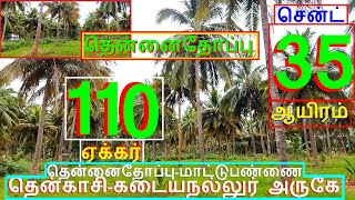 தென்காசி கடையநல்லூர்அருகே 110 ஏக்கர் தென்னைதோப்பு.சென்ட் 35 ஆயிரம்-1176-023.05.09 #ho #property #JJJ