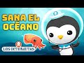 Los Octonautas - 🩹 Sana el océano 🐧 | Compilado de Pepe | Episodios Completos