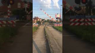 Spoorwegovergang Linne // Dutch Railroad Crossing