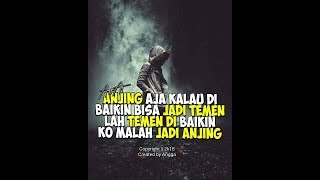 Playtube Pk Ultimate Video Sharing Website