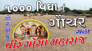 ગઢા ના ગોગા મહારાજ.