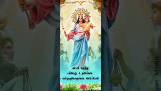 கிறிஸ்துவர்களின் புனித சகாய அன்னை| அன்னையின் வணக்க மாதம்|மே24|#shorts