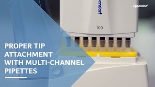 Proper Tip Attachment with Eppendorf Multi-Channel Pipettes featuring Spring-Loaded Tip Cones