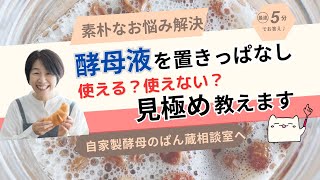 常温に置きっぱなし　この酵母液、まだ使えますか？（素朴なお悩み解決12）天然酵母パン教室ぱん蔵【東京/山梨】