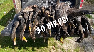 Ontario Cormorant Hunt - 2 man limit