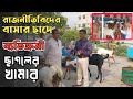 নিজ বাসার ছাদে রাজনীতিবিদের ব্যতিক্রমী  ছাগলের খামার || GOAT FARM ||