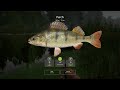 rf4 lure fishing only ep 5 two trophies rf4 russianfishing4