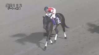 フジユージーン　４戦目（ネクストスター盛岡）