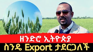 #Ethiopa - ኢትዮጵያ ዘንድሮ ስንዴ Export ታደርጋለች - ጠሚ አብይ አህመድ