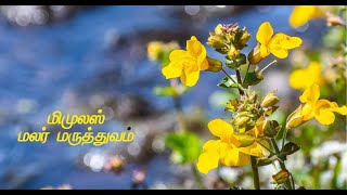 மிமுலஸ்  - மலர் மருத்துவம் - நித்தம் ஒரு வார்த்தை-430