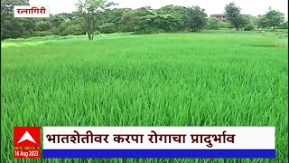 Rice Farming : कोकणातील भात शेतीवर करपा आणि किडींचा प्रादुर्भाव वाढण्याची शक्यता