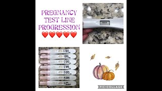 PREGNANCY TEST LINE PROGRESSION AFTER BFP! TWINS AGAIN!? HOOK EFFECT?|FOUR LITTLE FINS