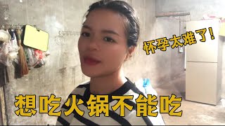 梅子孕期想吃火锅，和海娃产生争议，这回复真的绝了【梅子加油】