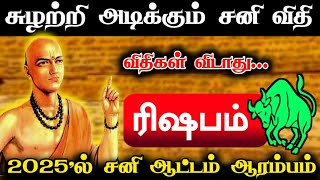 சுழற்றி அடிக்கும் சனி விதி ! ரிஷபம்ராசிக்கு.. விதிகள் விடாது ! 2025'ல் சனி ஆட்டம் ஆரம்பம் ! #apastro