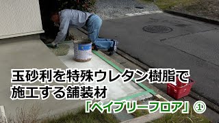 須坂市 エクステリア アプローチ デザイン 【ペイブリーフロア① オンリーワン】