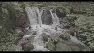 【4K】 【8K】福井県 三方上中郡 若狭町 天徳寺 瓜割の滝 8